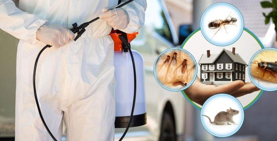 Sultandağı Böcek İlaçlama