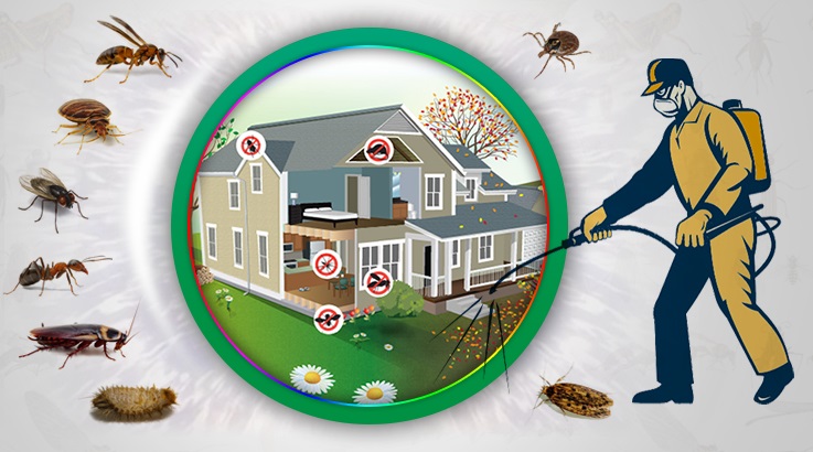 Sultandağı Böcek İlaçlama