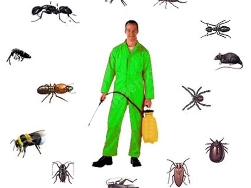 Sultandağı Böcek İlaçlama